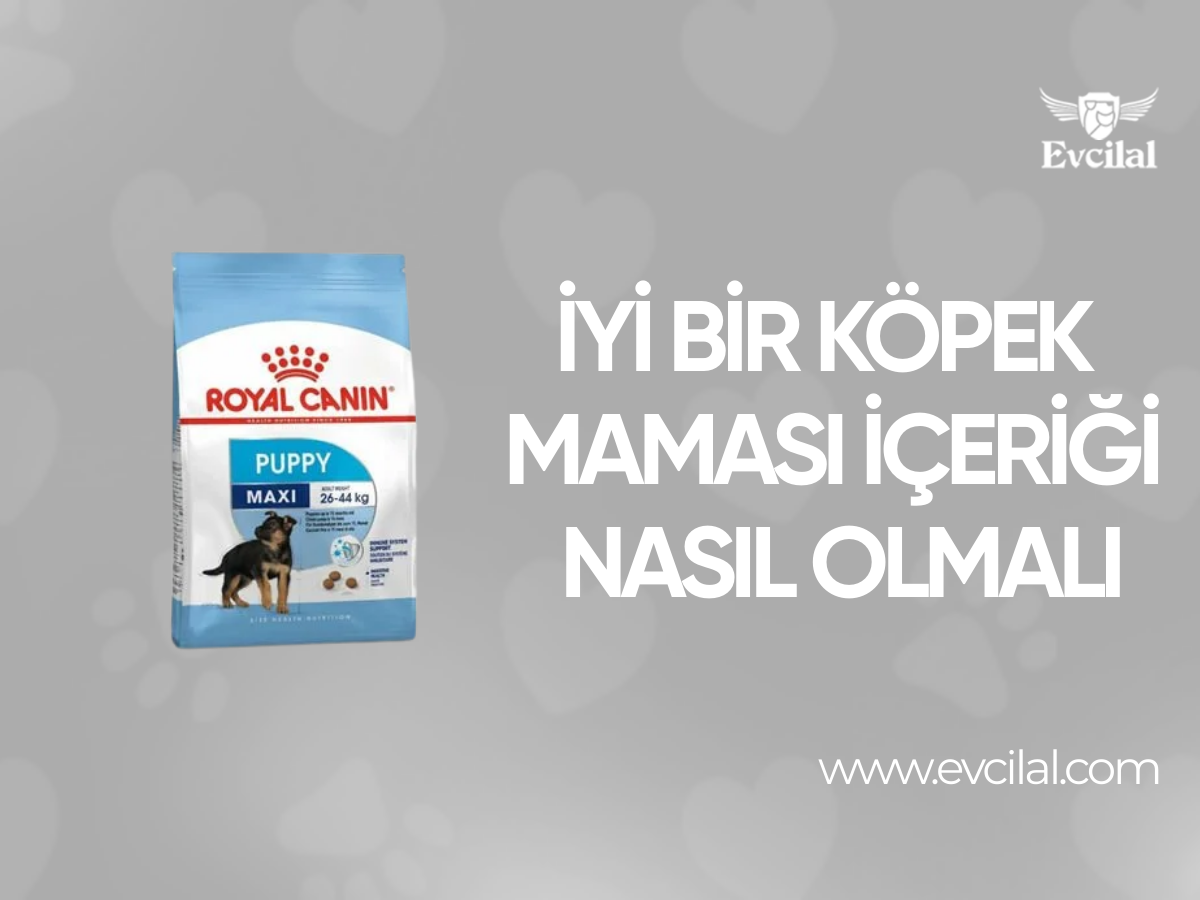 İyi Bir Köpek Maması İçeriği Nasıl Olmalı