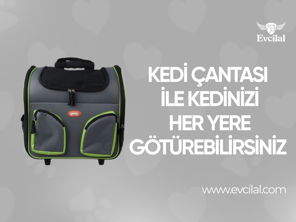 Kedi Çantası İle Kedinizi İstediğiniz Yere Götürebilirsiniz