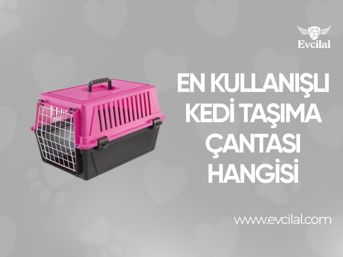 En Kullanışlı Kedi Taşıma Çantası Hangisi
