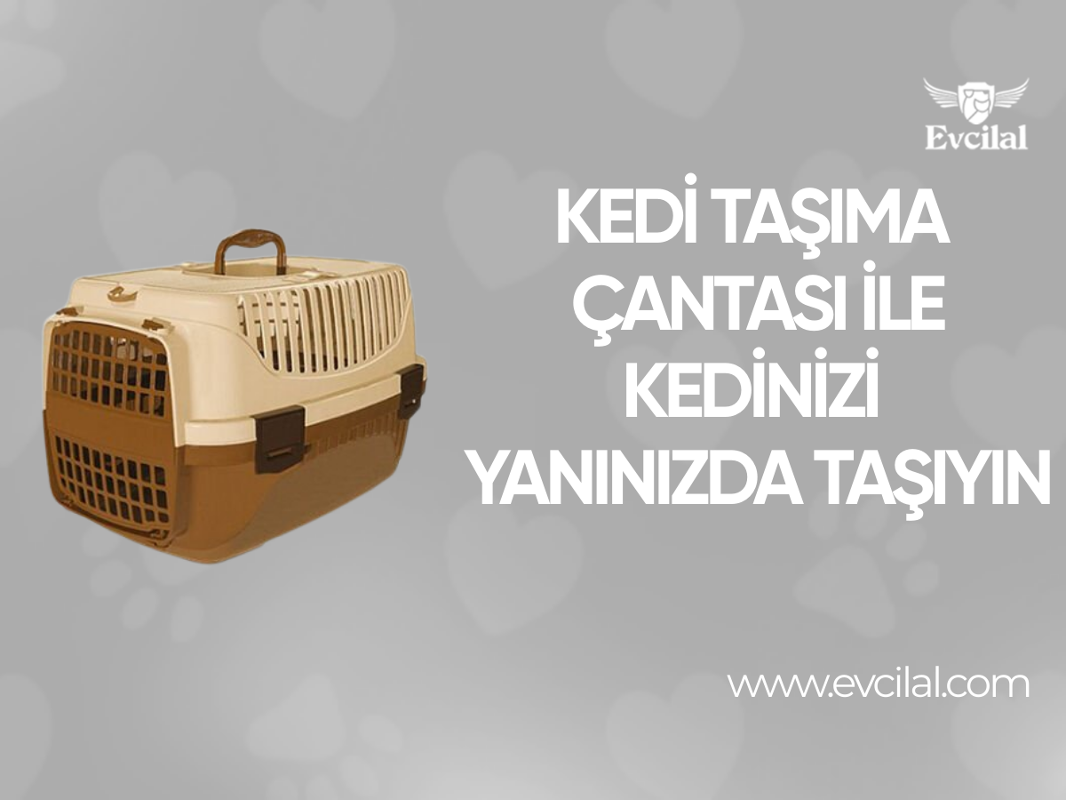 Kedi Taşıma Çantası İle Kedinizi Yanınızda Gezdirebilirsiniz