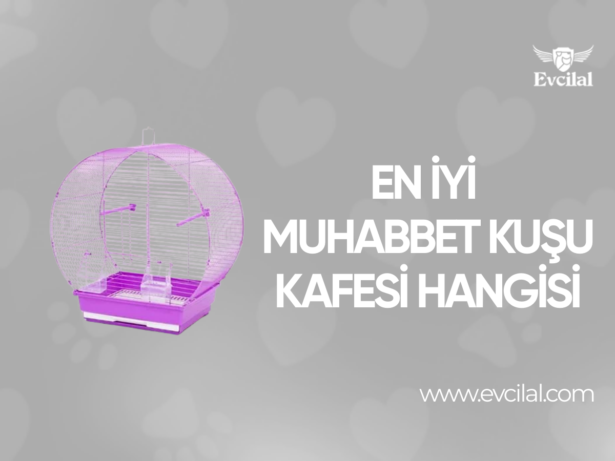 En İyi Muhabbet Kuşu Kafesi Hangisi