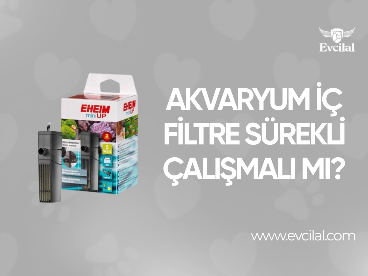 Akvaryum İç Filtre Sürekli Çalışmalı mı?