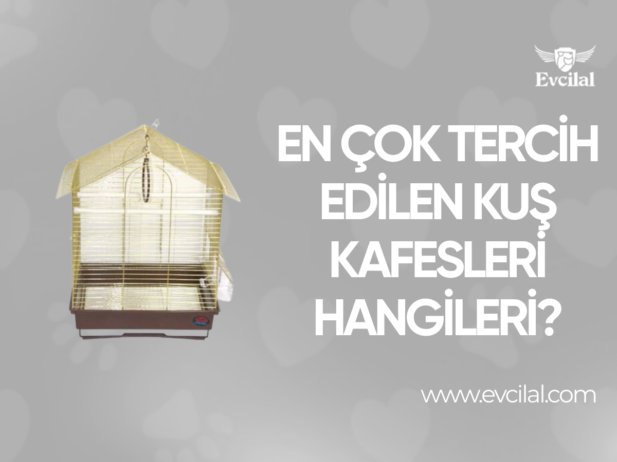 En Çok Tercih Edilen Kuş Kafesleri Hangileri?