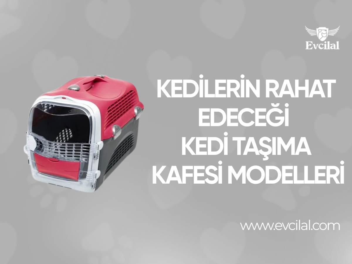 Kedilerin İçinde Rahat Edeceği Kedi Taşıma Kafesi Modelleri Hangileri?