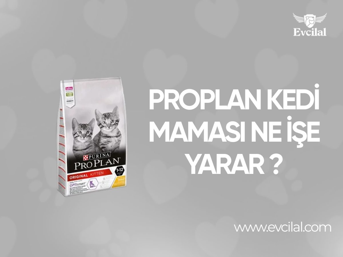 Proplan Kedi Maması Ne İşe Yarar?