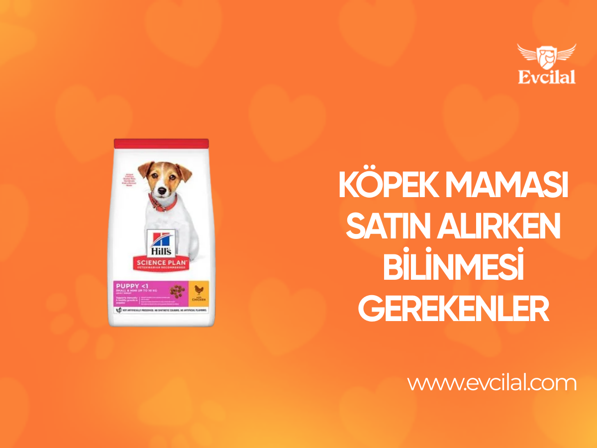 Köpek Maması Satın Alırken Bilinmesi Gerekenler Neler