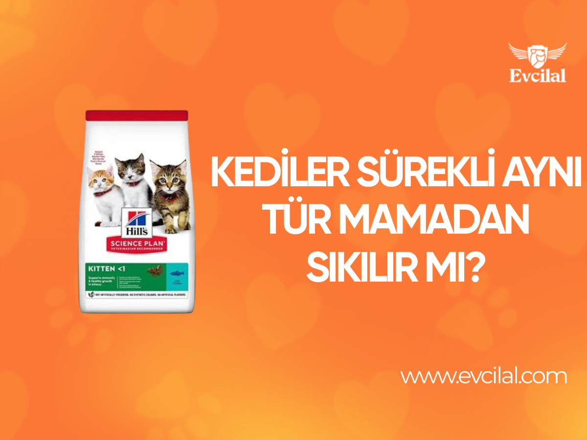 Kediler Sürekli Aynı Tür Mamadan Sıkılır Mı?