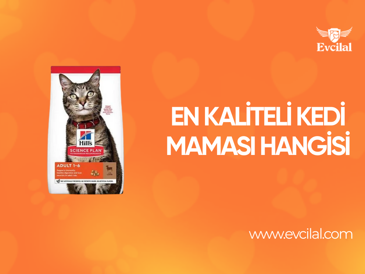 En Kaliteli Kedi Maması Hangisi