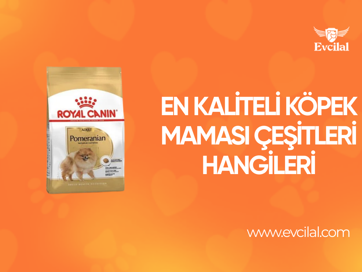 En Kaliteli Köpek Maması Çeşitleri Hangileri