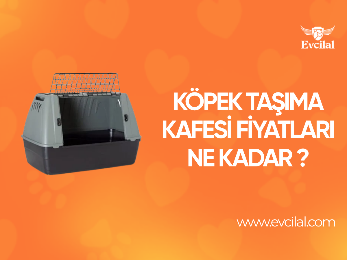 Köpek Taşıma Kafesi Fiyatları Ne Kadar ?