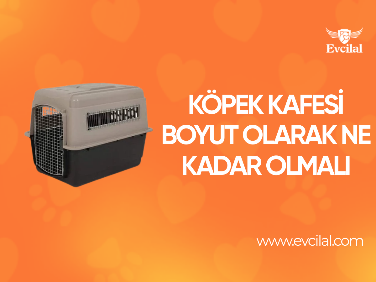 Köpek Kafesi Boyut Olarak Ne Kadar Olmalı