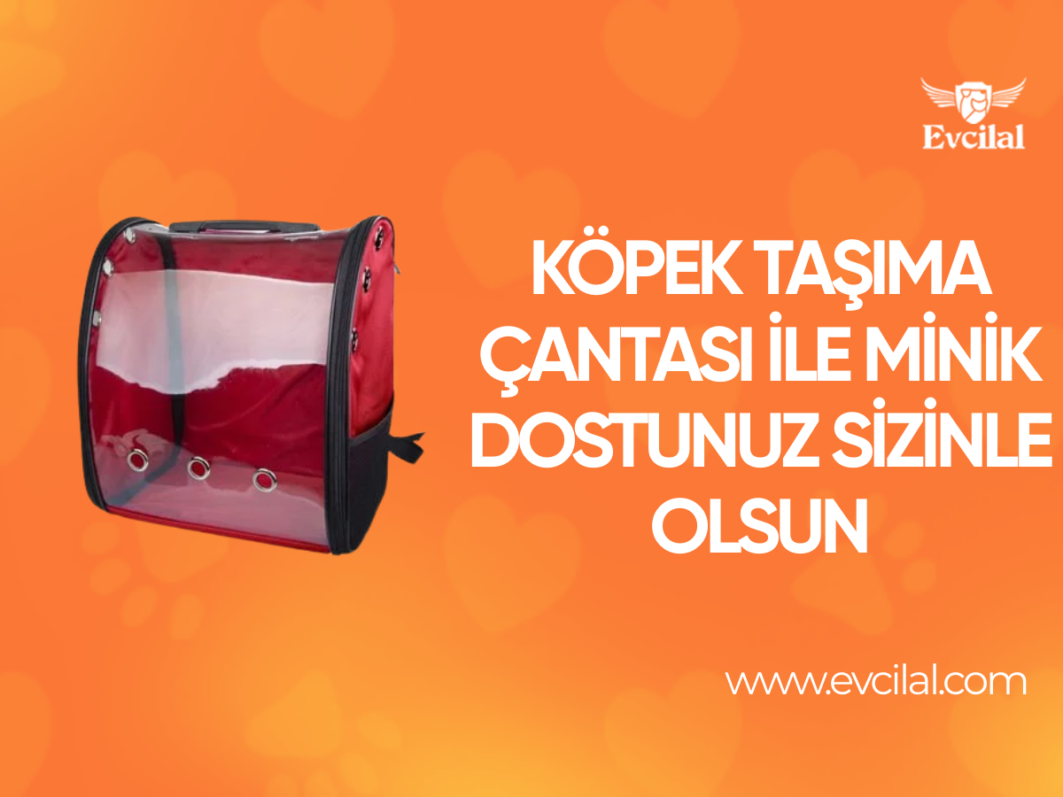Köpek Taşıma Çantası İle Minik Dostunuz Sizinle Gezsin