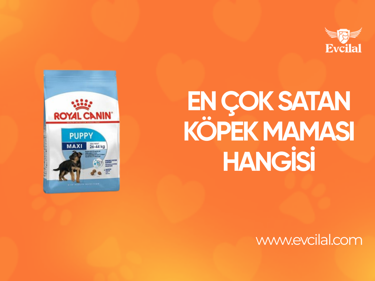 En Çok Satan Köpek Maması Hangisi