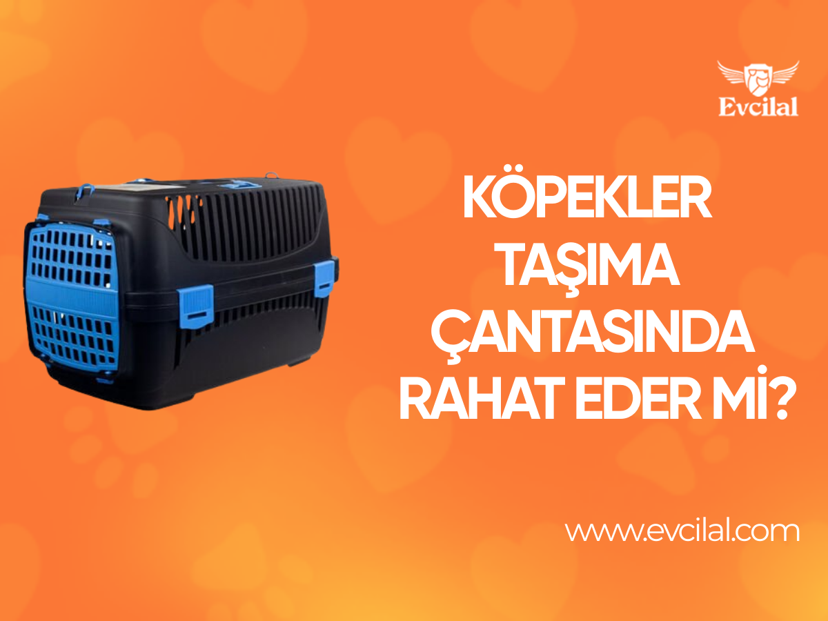 Köpekler Köpek Taşıma Çantası İçerisinde Rahat Eder Mi
