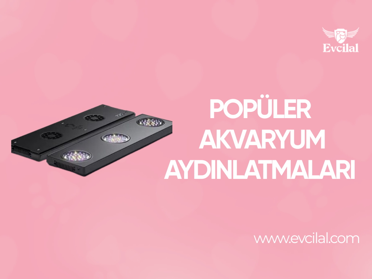 En Çok Satılan Akvaryum Aydınlatma Modelleri Hangileri