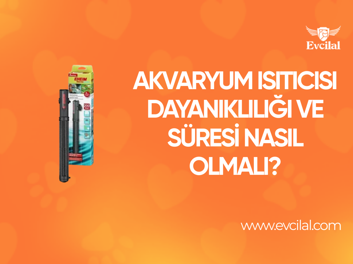 Akvaryum Isıtıcısı Dayanıklılığı Ve Çalışma Süreleri Nasıl Olmalı ?