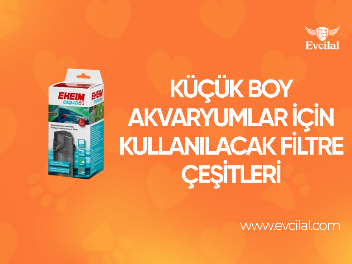 Küçük Boy Akvaryumlar İçin Kullanılacak Filtre Çeşitleri
