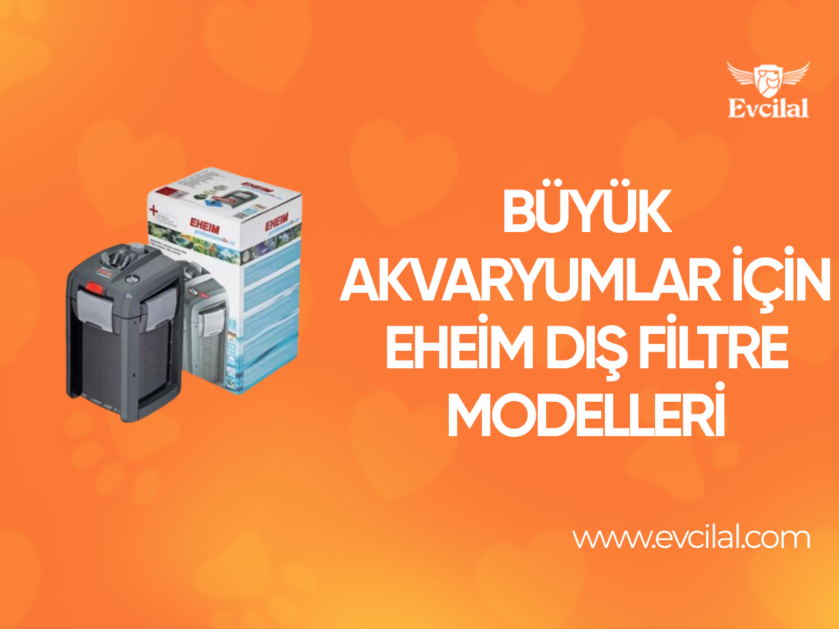 Büyük Boy Akvaryumlar İçin Eheim Dış Filtre Modelleri Hangileri