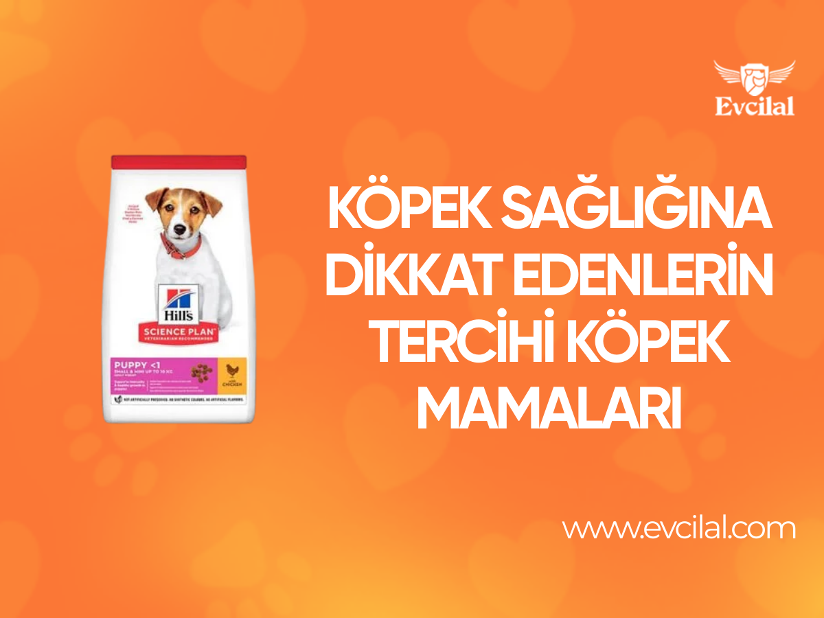 Köpek Sağlığına Dikkat Edenlerin Tercihi Köpek Mamaları