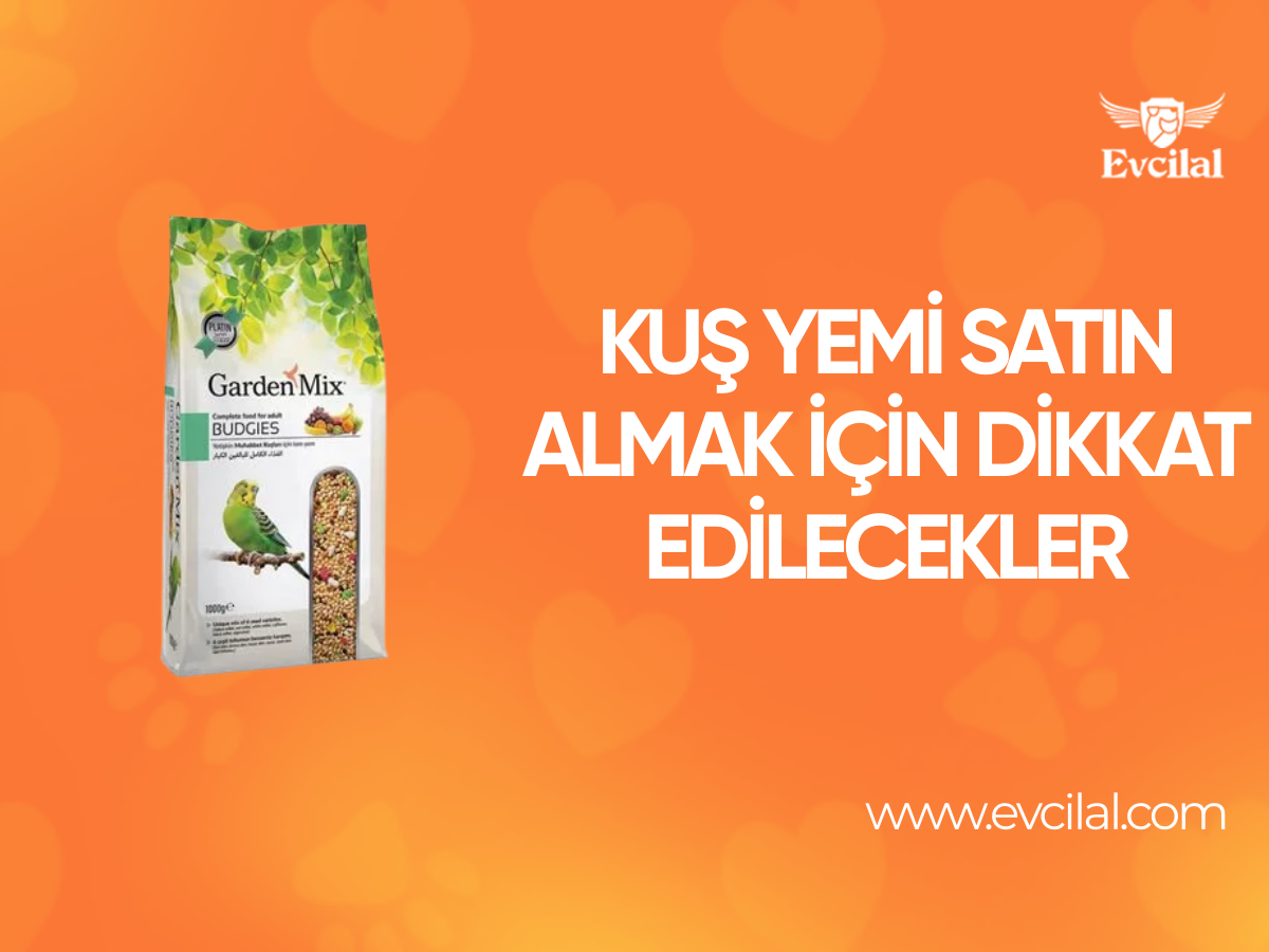 Kuş Yemi Satın Almak İçin Dikkat Edilecekler