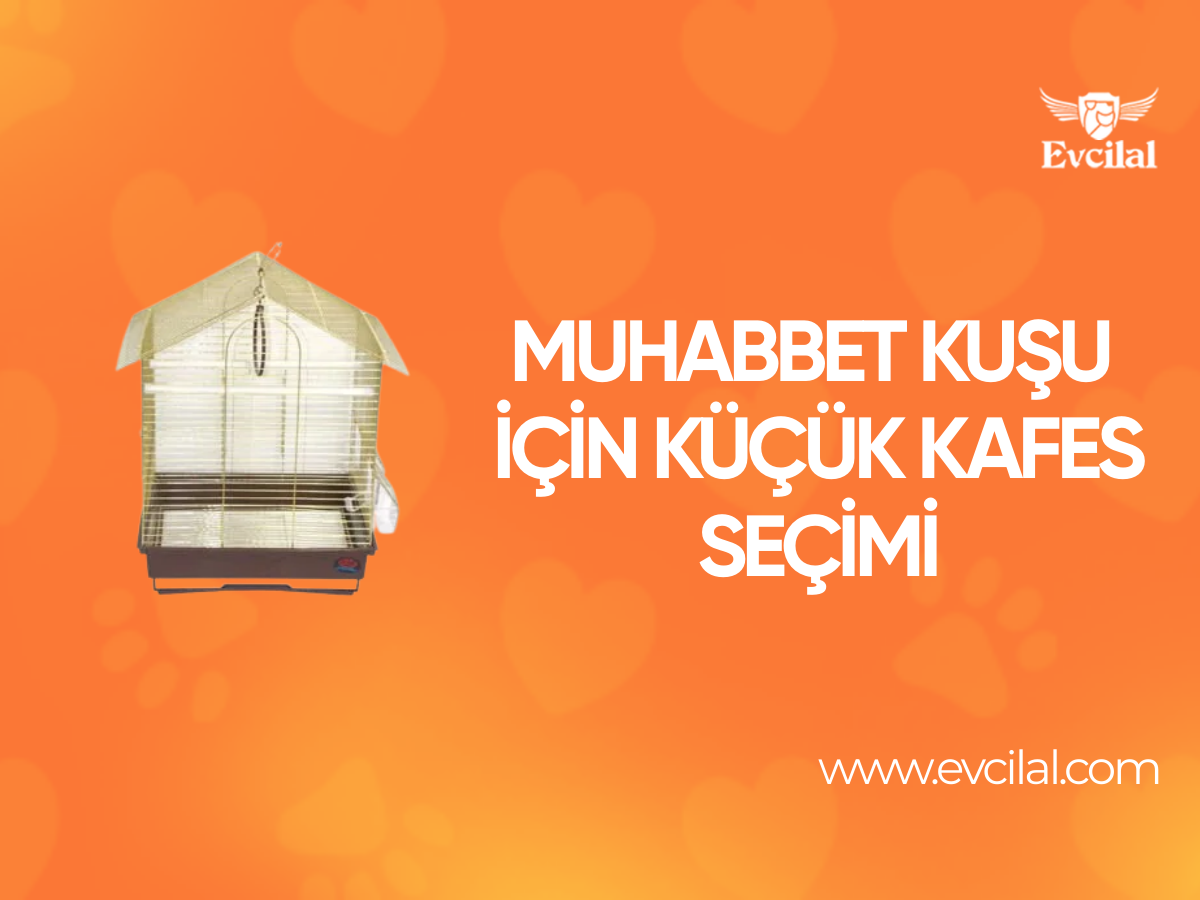 Muhabbet Kuşu Kafes Çeşitlerinde Küçük Kafes Seçimi