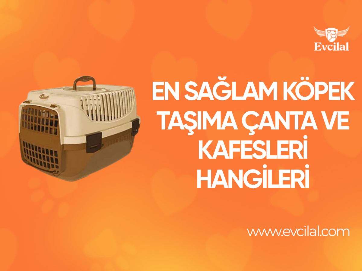 En Sağlam Köpek Taşıma Çanta Ve Kafesleri Hangileri