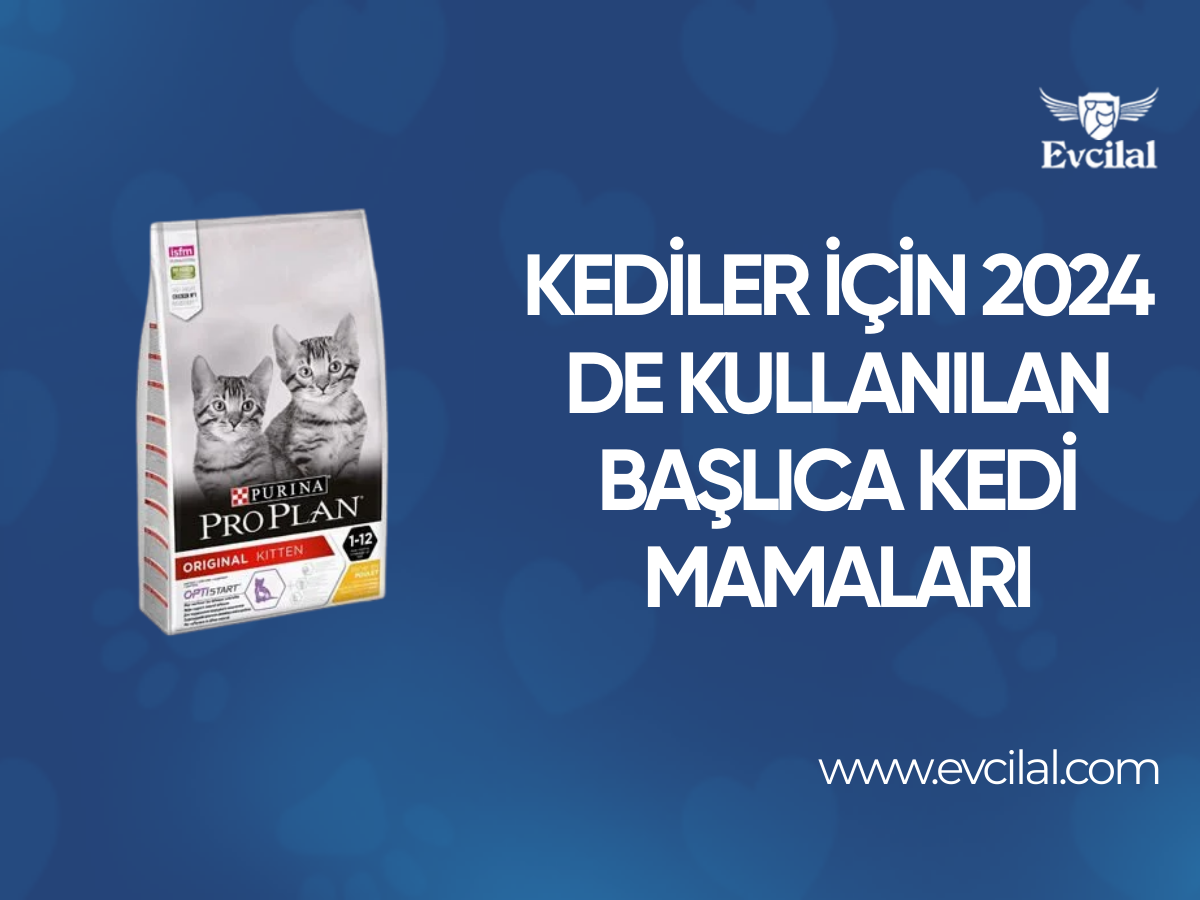 Kediler İçin 2024 de Kullanılan Başlıca Kedi Mamaları