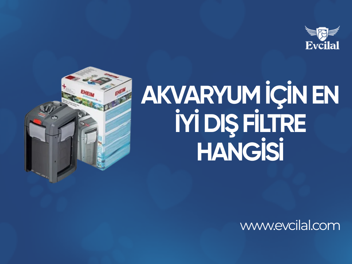 Akvaryum İçin En İyi Dış Filtre Hangisi