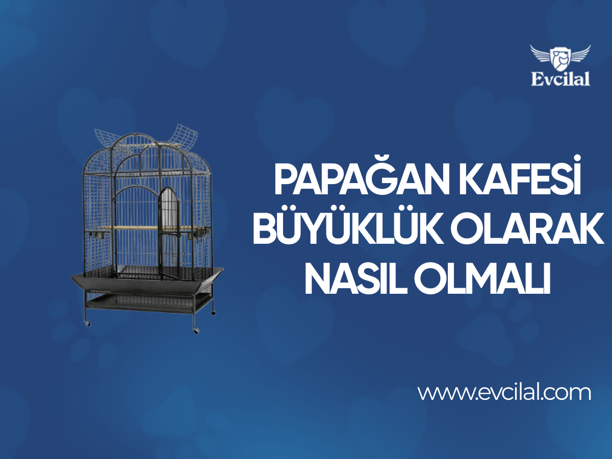 Papağan Kafesi Büyüklük Olarak Nasıl Olmalı