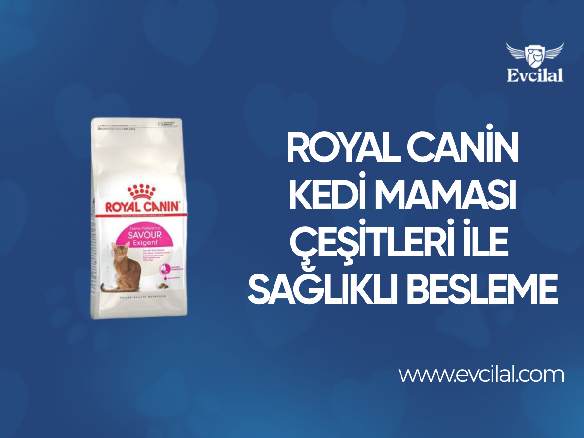 Royal Canin Kedi Maması Çeşitleri İle Kedinizi Sadece Doyurmak Yerine İyi Besleyin