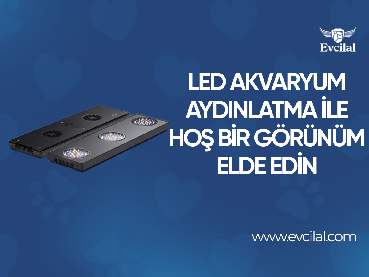 Led Akvaryum Aydınlatma İle Hoş Bir Görünüm Elde Edin