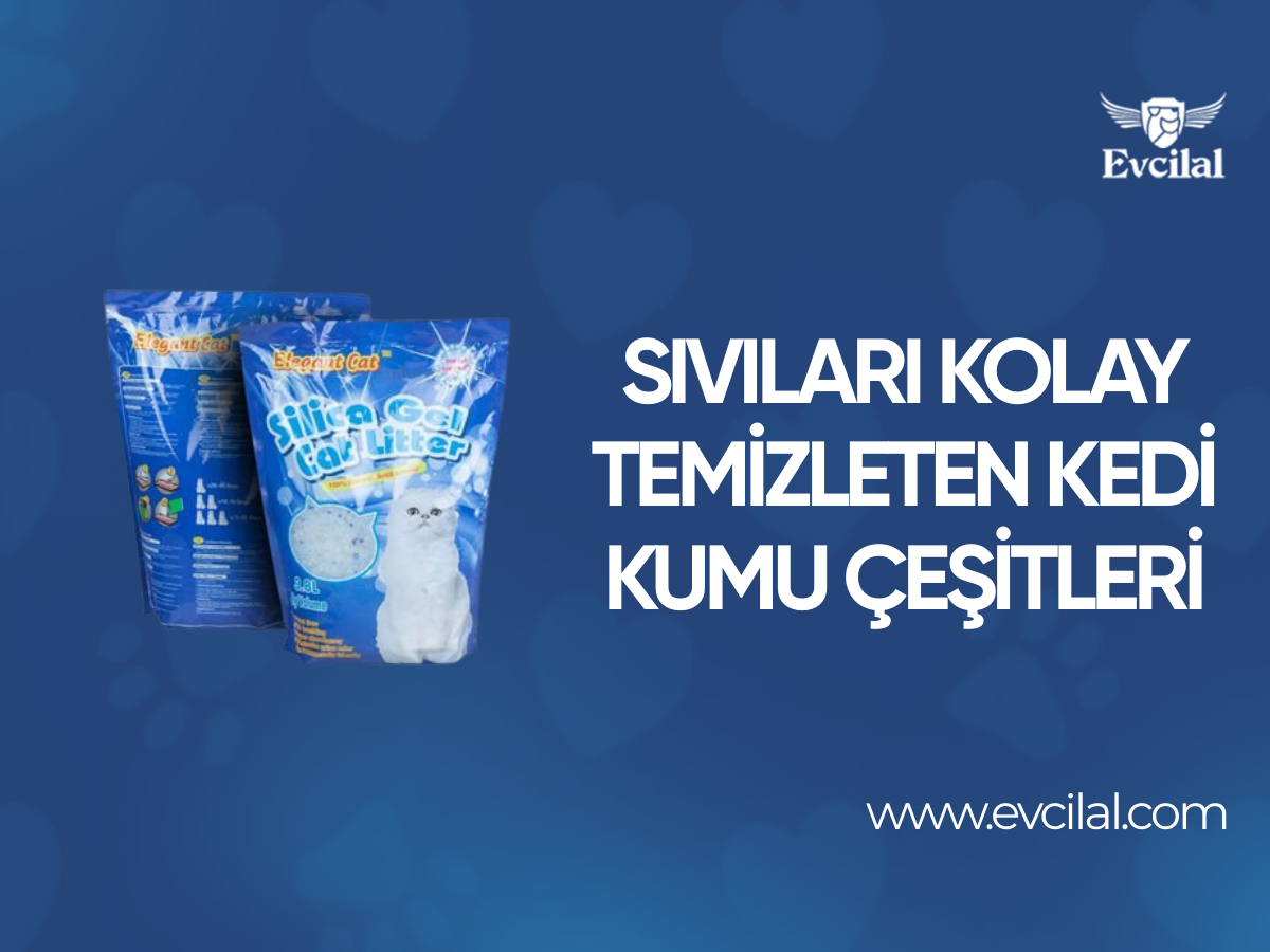 Sıvıları Kolayca Temizleme İmkanı Sunan Kedi Kumu Çeşitleri Hangileri