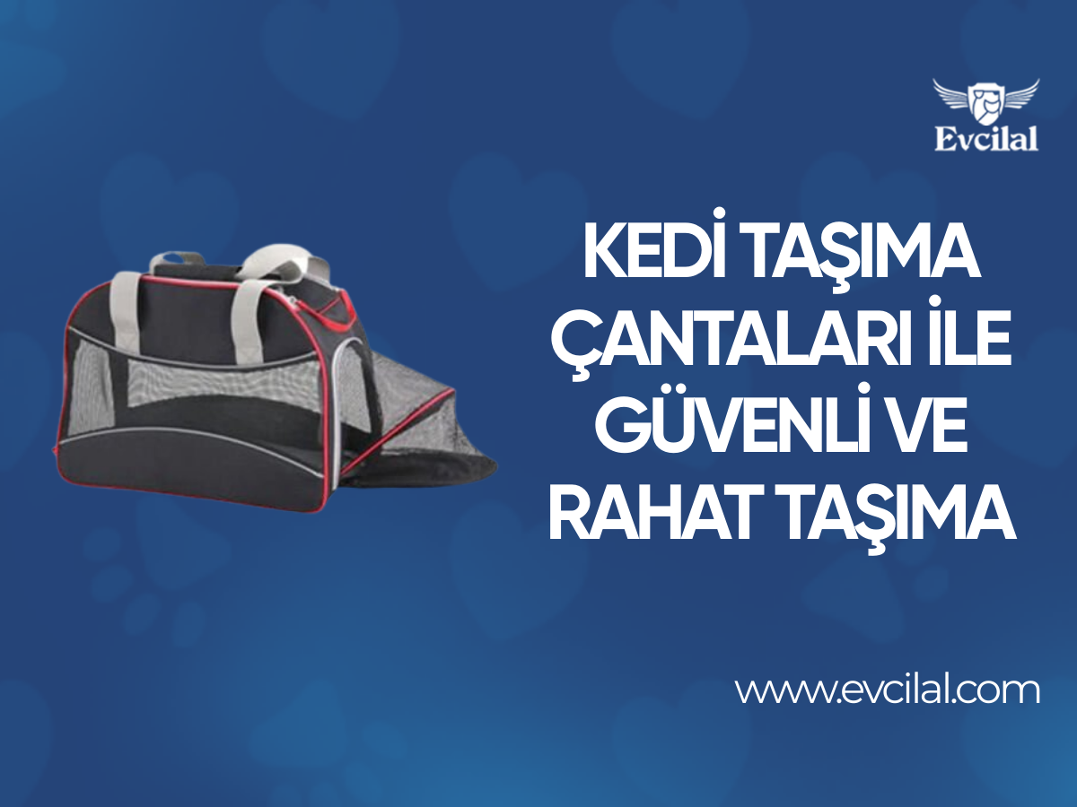Kedi Taşıma Çantaları İle Kedinizi Güvenli Ve Rahat Bir Şekilde Taşıyabilirsiniz