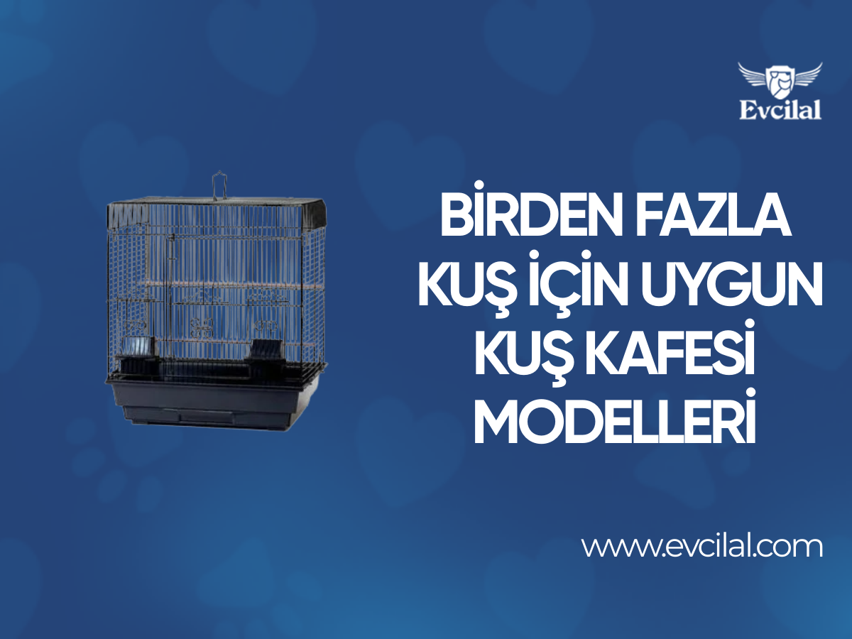 İçerisinde Birden Fazla Kuşu Besleyebileceğiniz Kuş Kafesi Modelleri Hangileri