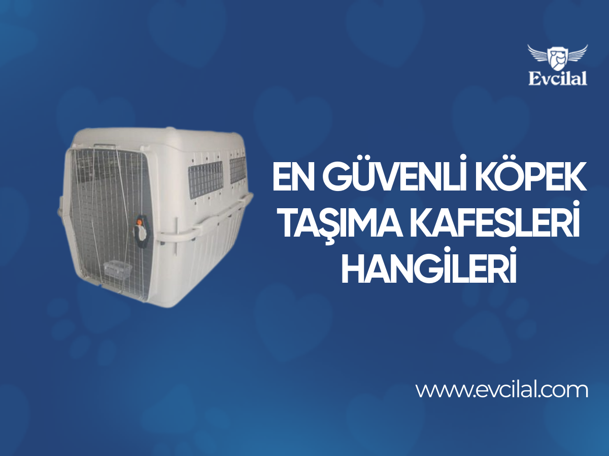 En Güvenli Köpek Taşıma Kafesleri Hangileri