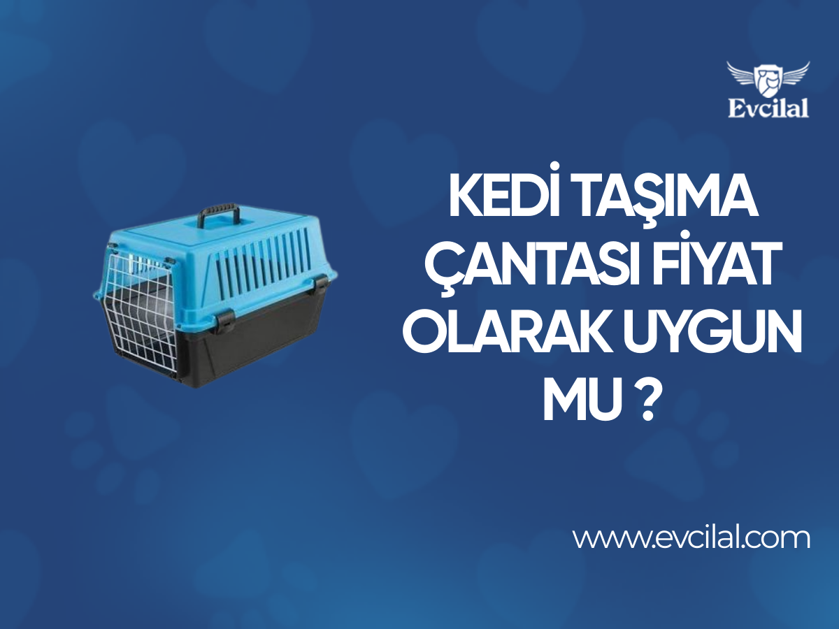 Kedi Taşıma Çantası Fiyat Olarak Uygun Mu ?