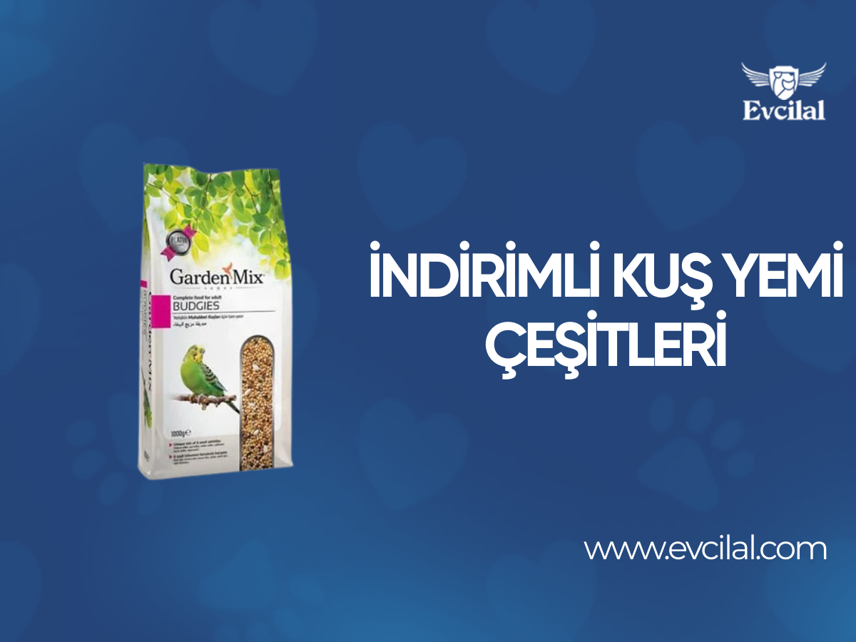 İndirimli Kuş Yemi Çeşitleri