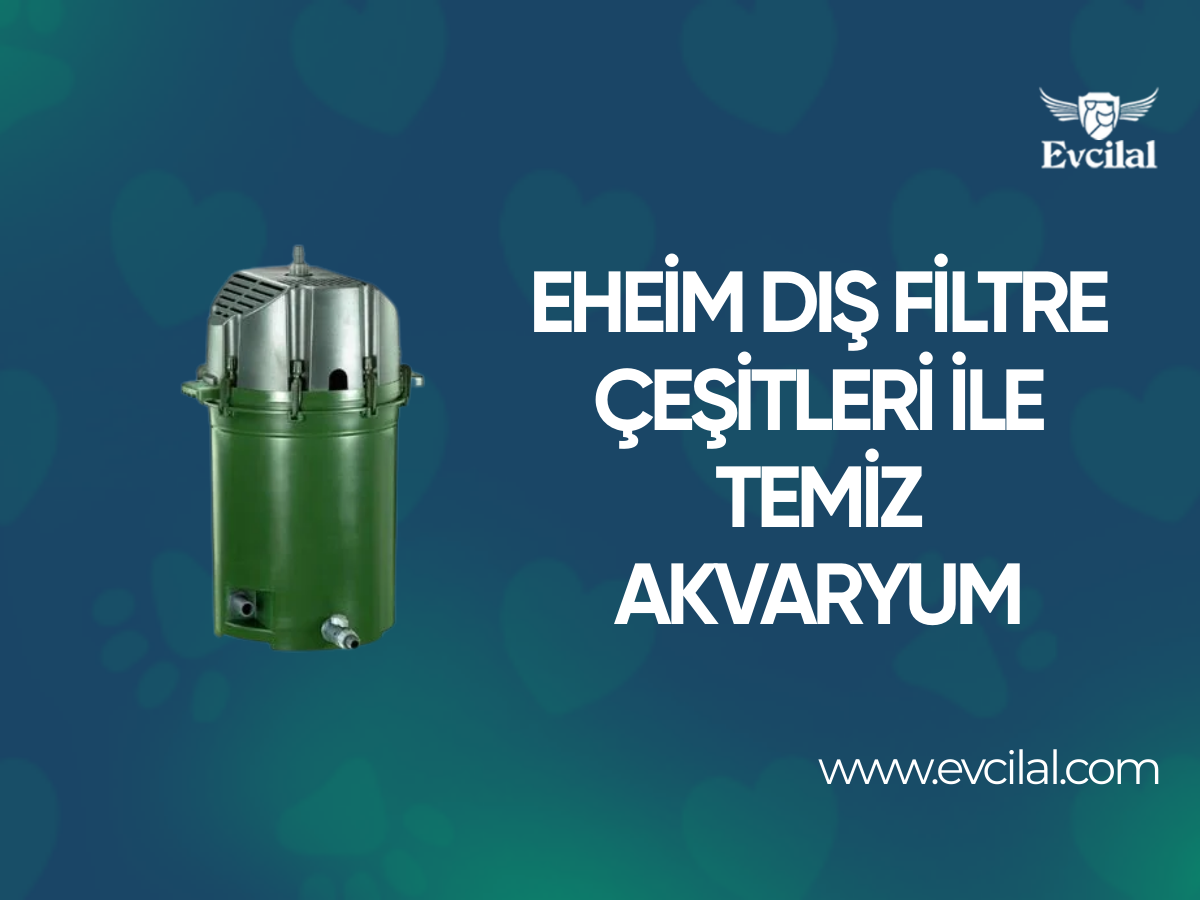 Eheim Dış Filtre Çeşitleri İle Akvaryumunuz Sürekli Temiz Kalsın