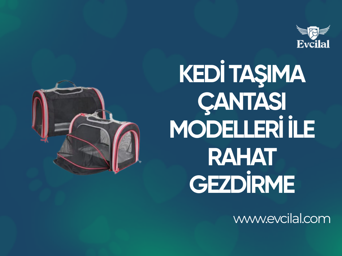 Kedi Taşıma Çantası Modelleri Sayesinde Kedinizi İstediğiniz Gibi Gezdirebilirsiniz