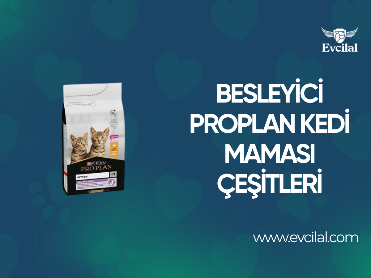 Mutlu Kediler İçin Besleyici Özelliklere Sahip Olan Proplan Kedi Maması Çeşitleri Hangileri