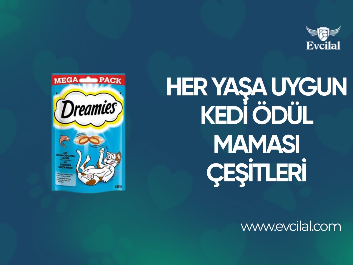 Her Yaştan Kedinin Kullanabileceği Kedi Ödül Maması Çeşitleri Hangileri