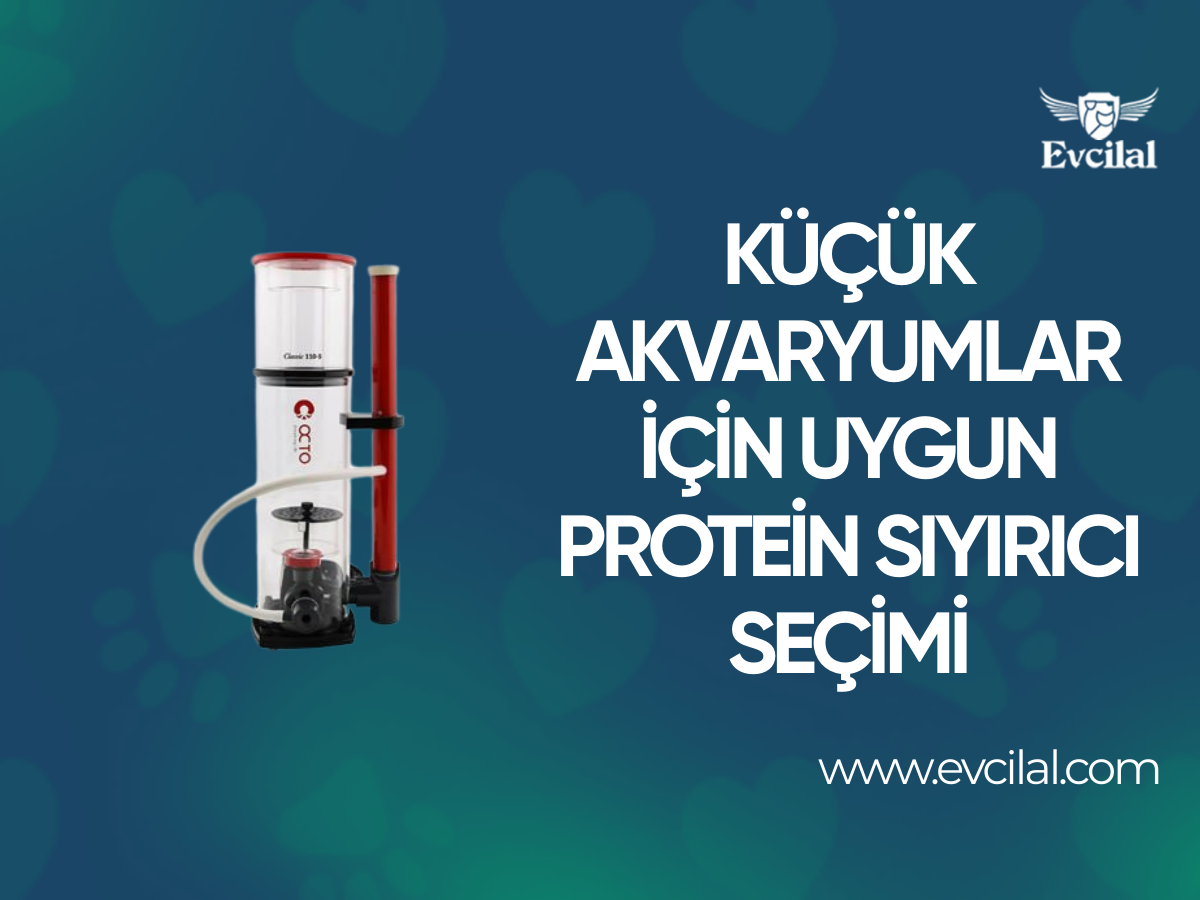 Hazne Alanı Kısıtlı Olan Akvaryumlar İçin Nasıl Bir Protein Sıyırıcı Tercih Edilmeli
