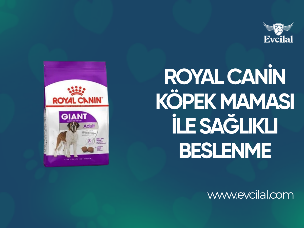 Royal Canin Köpek Maması Çeşitleri İle Köpeğinizin Sağlıklı Beslenmesini Sağlayın