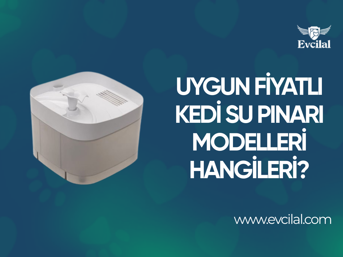 Uygun Fiyatlı Kedi Su Pınarı Modelleri Hangileri?