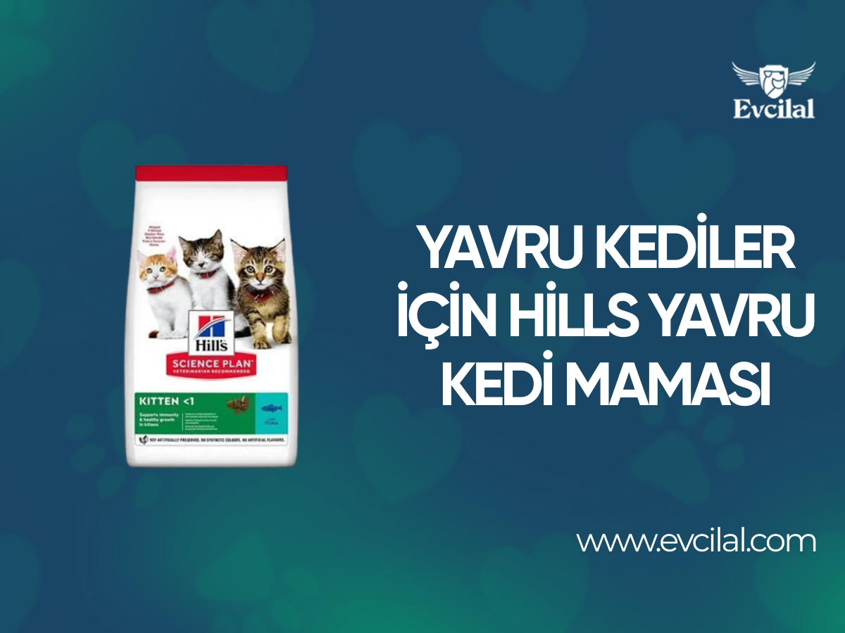 Yavru Kediler İçin Özel Bir Lezzet Olan Hills Yavru Kedi Maması