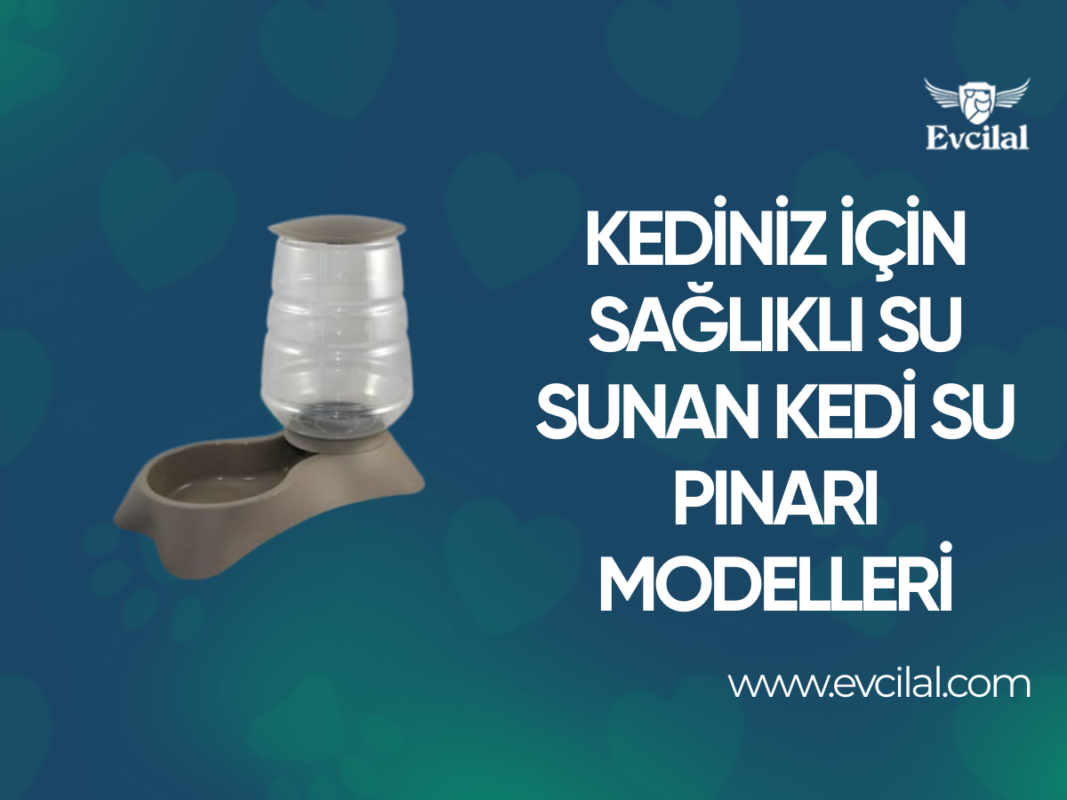 Kedinizin Sağlıklı Ve Temiz Suya Erişimini Sağlayan Kedi Su Pınarı Modelleri Hangileri