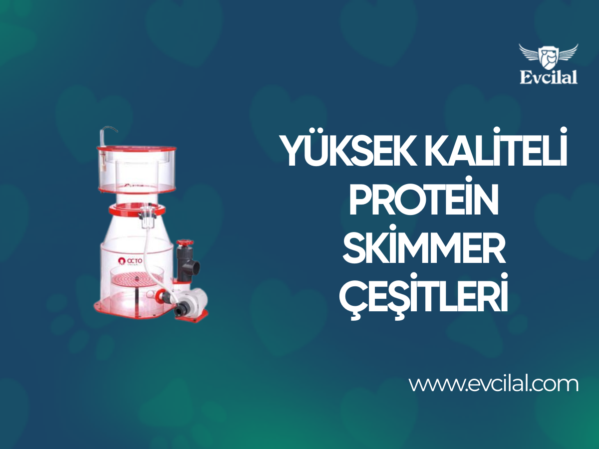 Yüksek Kaliteye Sahip Protein Skimmer Çeşitleri Hangileri?