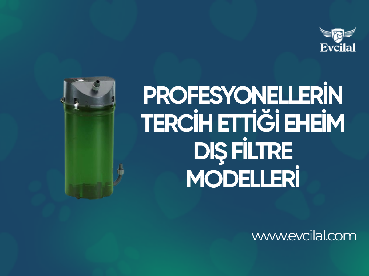 Profesyonellerin Tercih Ettiği Eheim Dış Filtre Modelleri Hangileri