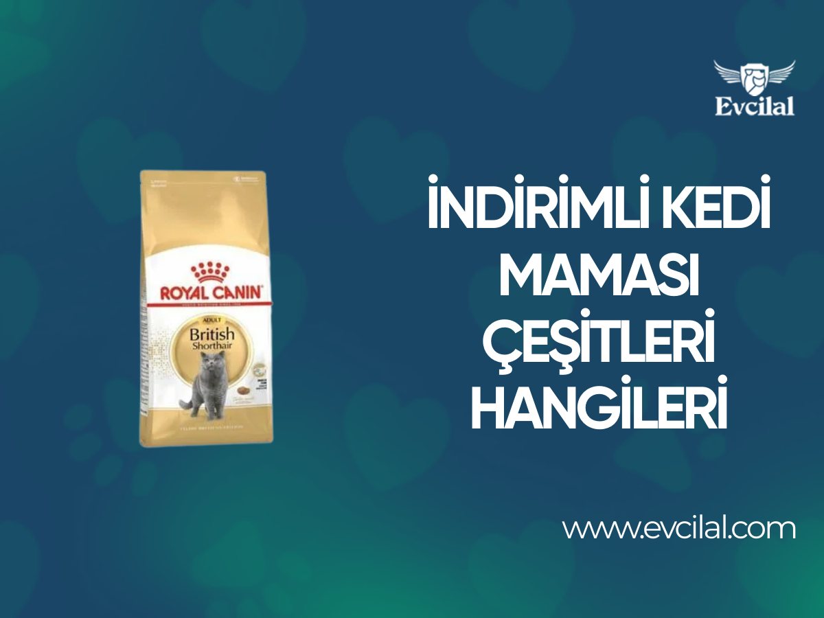 İndirimli Kedi Maması Çeşitleri Hangileri
