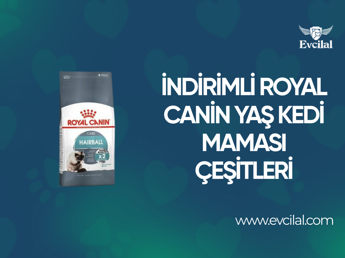 İndirimli Royal Canin Yaş Kedi Maması Çeşitleri Hangileri